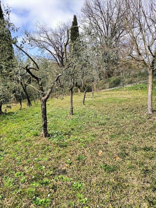 Locazione Turistica La Gesualda Leilighet Castelnuovo Magra Eksteriør bilde