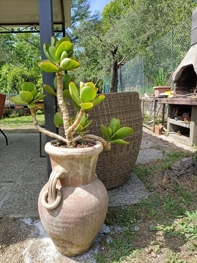 Locazione Turistica La Gesualda Leilighet Castelnuovo Magra Eksteriør bilde